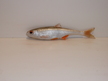Płoć 7 cm LE (3)