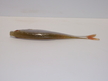 Płoć 10 cm LE (2)
