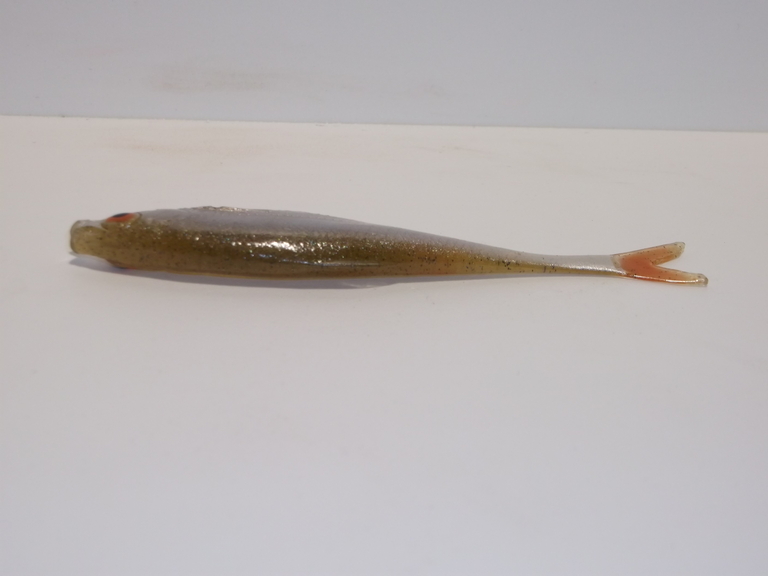 Płoć 10 cm LE (2)