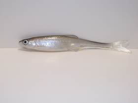Stynka 16 cm CNS