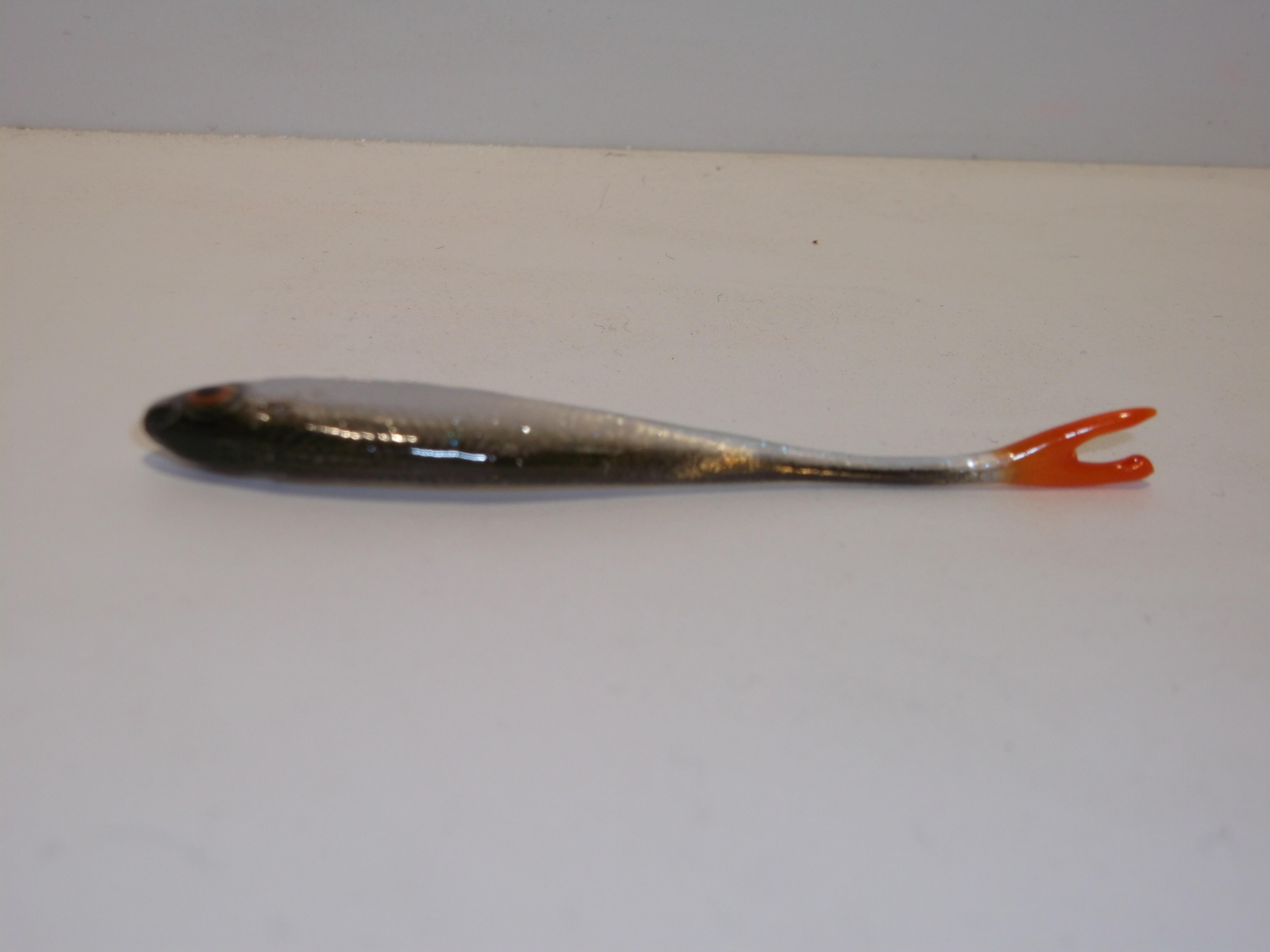 Płoć 6 cm VCNS (3)