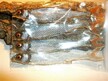 Płoć 8 cm DS (x4)  (3)
