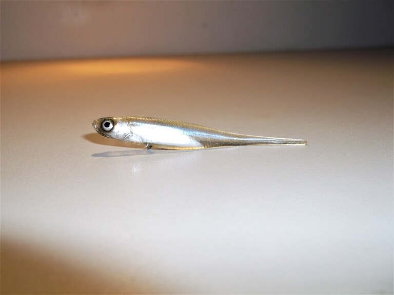 Stynka Pintail 6 cm ZSN (2)