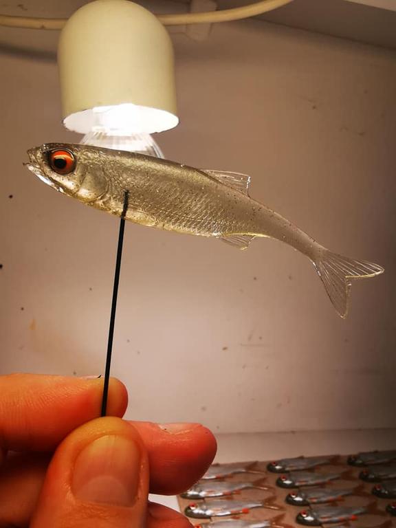 Płoć 9 cm CZ