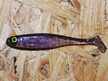 Ripper Ukleja 7,5 cm FC (1)