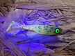 Ripper Embrion 4 cm KHUV (2)