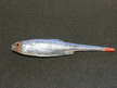Płoć Pintail 8 cm NSN (3)