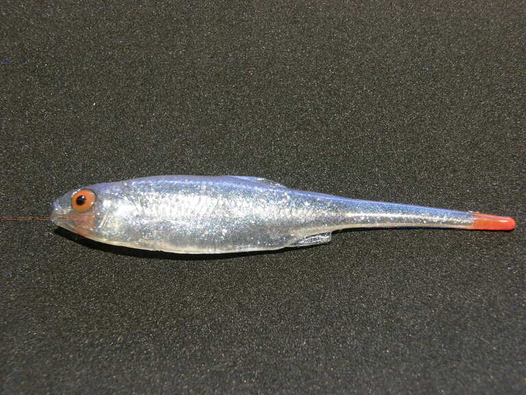 Płoć Pintail 8 cm NSN (3)