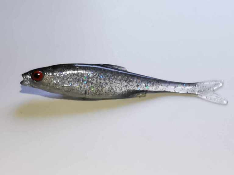 Płoć 10 cm CH