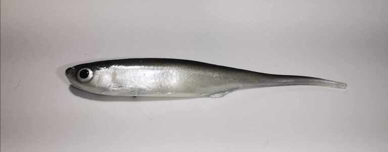 Ukleja Pintail 8 cm CP