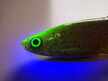 Ripper Ukleja 12,5 cm YMO (3)