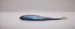 Stynka 10 cm VNS (3)