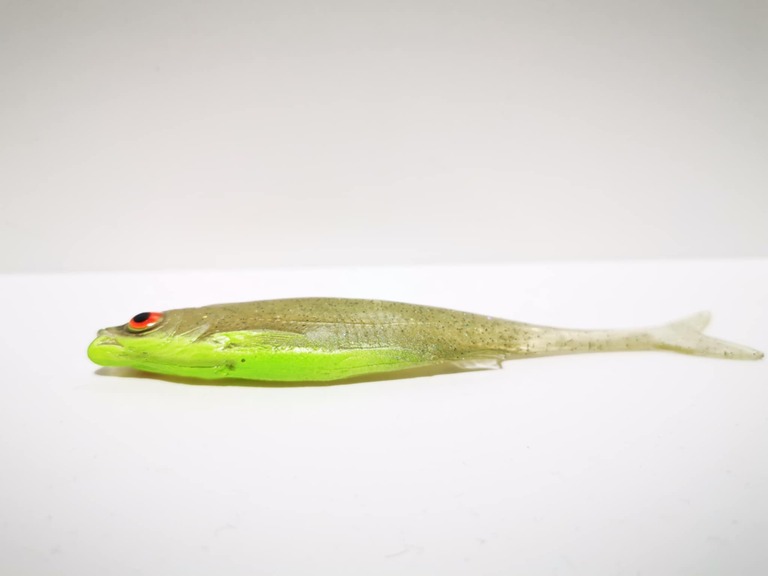 Płoć 10 cm CZUV (2)