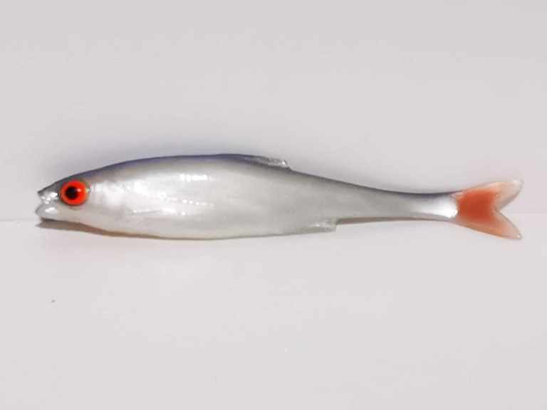 Płoć 10 cm NBP
