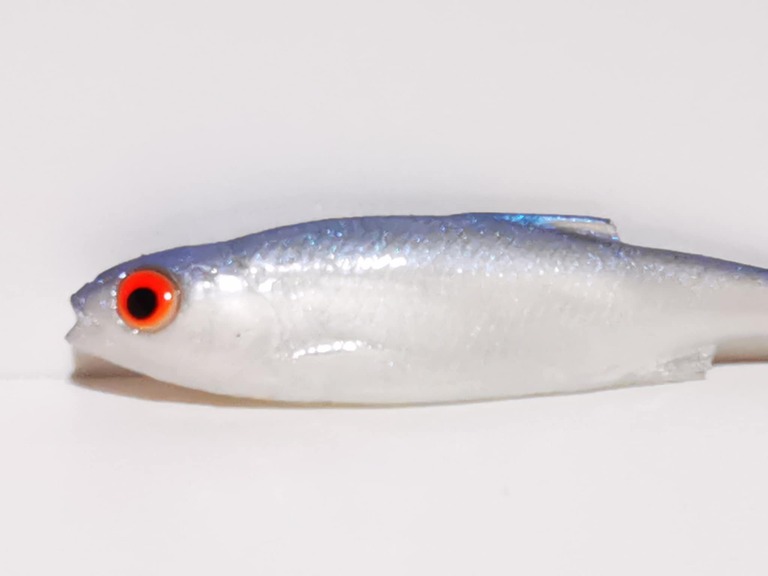 Płoć 7,5 cm NBP (2)