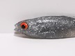 Płoć 7,5 cm PBS (2)
