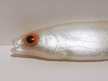 Płoć 10 cm P (2)