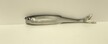 Ukleja 12,5 cm CP (2)