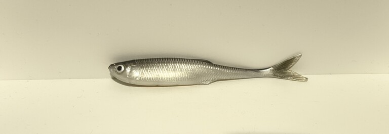 Ukleja 12,5 cm CP
