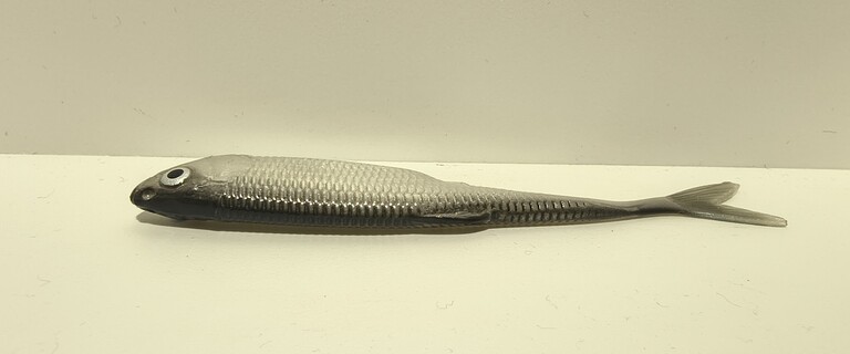 Ukleja 12,5 cm CP (3)
