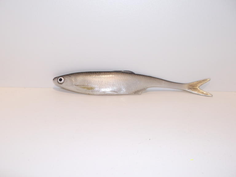 Ukleja 17 cm CP (2)