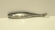 Ukleja 11,5 cm CP (1)