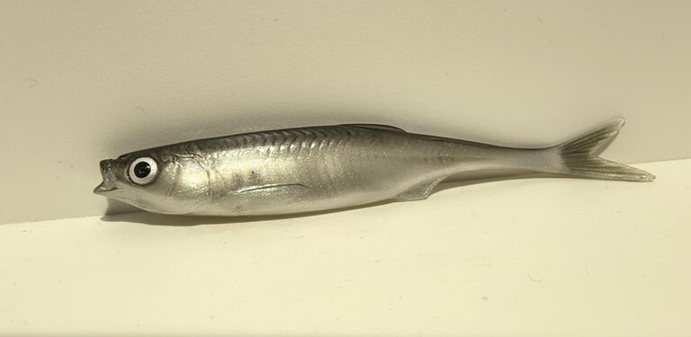 Ukleja 11,5 cm CP (2)