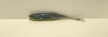 Stynka 10 cm VCNUV (1)