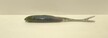 Stynka 10 cm VCNUV (3)