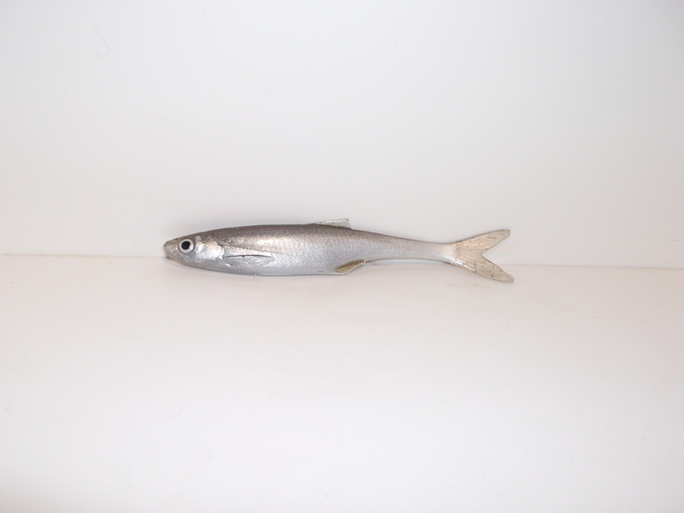 Ukleja 10 cm ZS