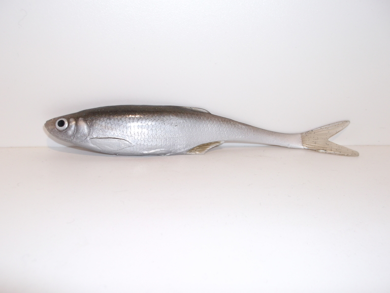 Ukleja 15 cm ZS