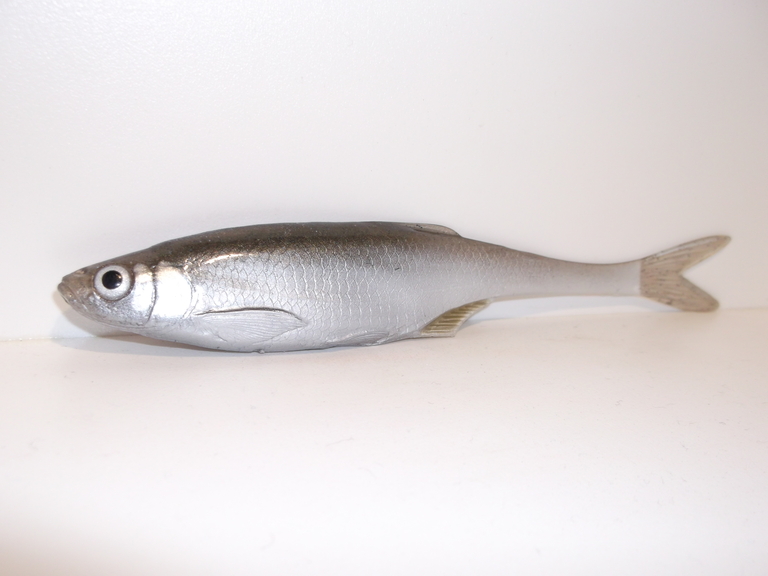 Ukleja 15 cm ZS (2)