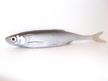 Ukleja 17 cm ZS (2)