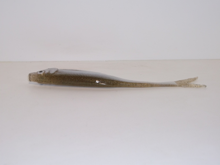 Ukleja 11,5 cm ZS (3)