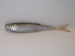 Ukleja 12,5 cm ZS (2)